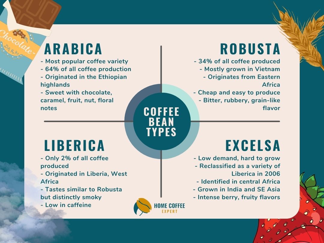 Infographic: Vier meest voorkomende soorten koffiebonen