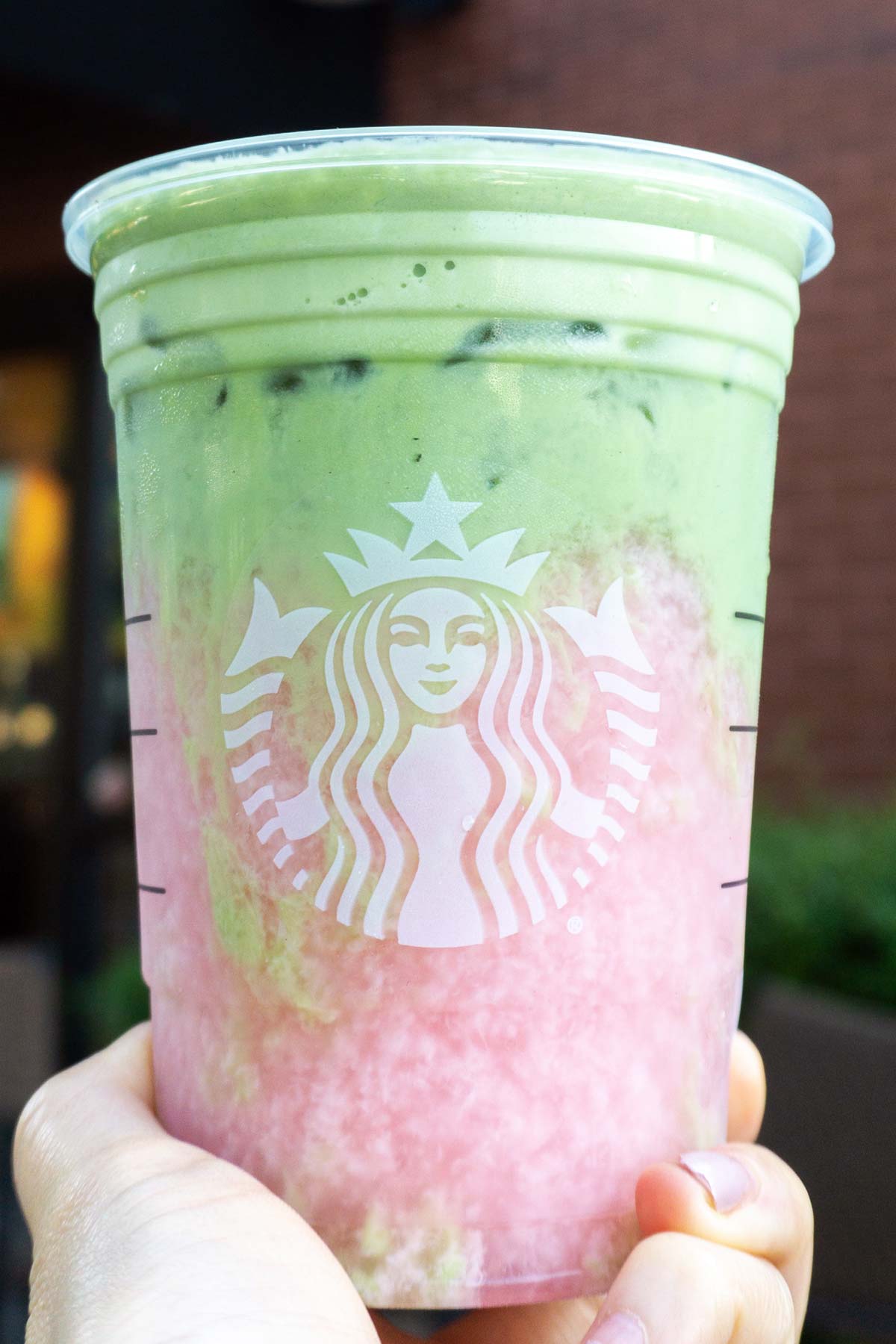 Een Starbucks-beker vasthouden met TikTok Matcha Pink Drink.