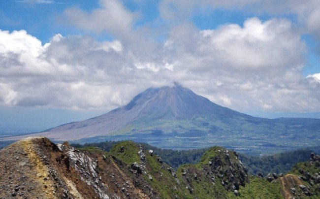 Koffieplantage op vulkaan Indonesië
