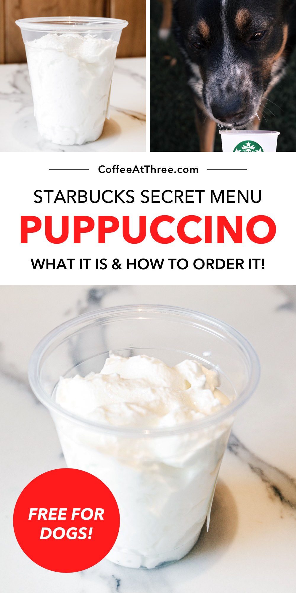 Puppuccino (Starbucks Secret Menu): wat het is en hoe het te bestellen